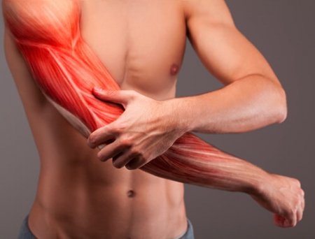 Muscle Strain Muscle Strain